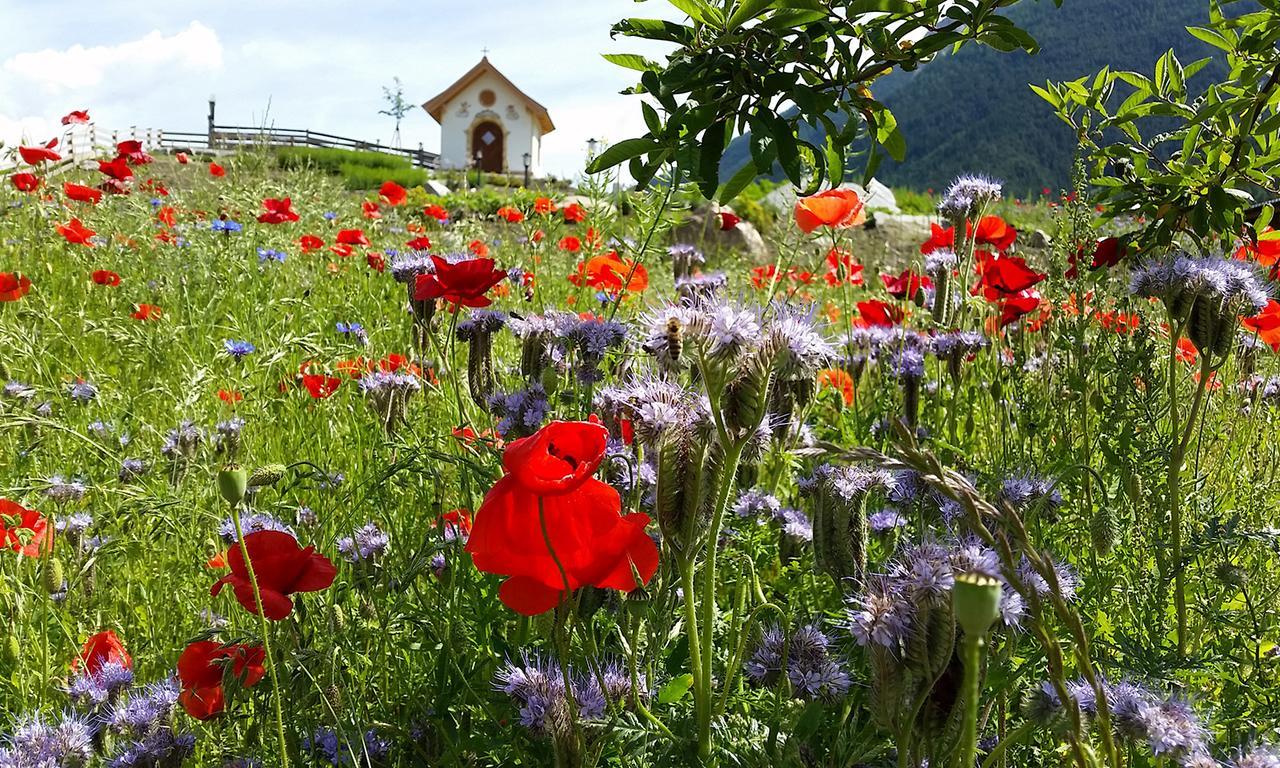 Forster'S Naturresort นอยชติฟ อิม ชตูไปทัล ภายนอก รูปภาพ